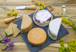 What on earth is vegan cheese?